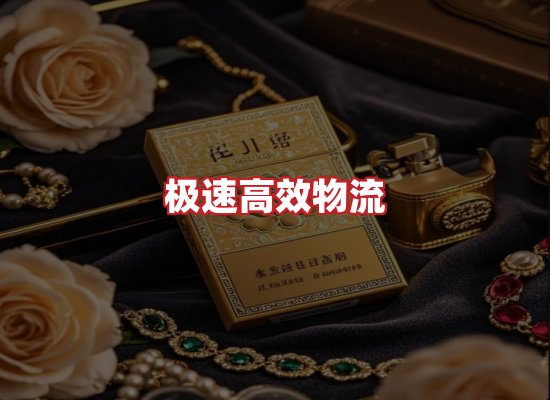 专业团队